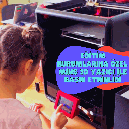 Printing Activity With Mins 3D Printer For Educational Institutions